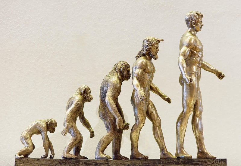 AI Evolution